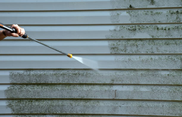 Best Mold Removal and Inspection  in Mason City, IL