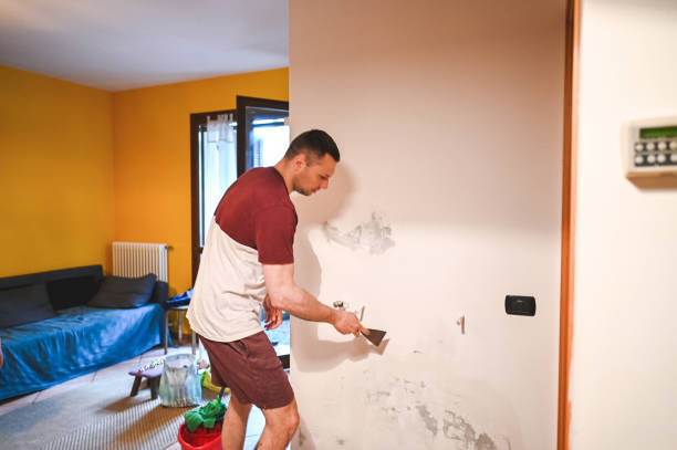 Best Affordable Mold Removal  in Mason City, IL